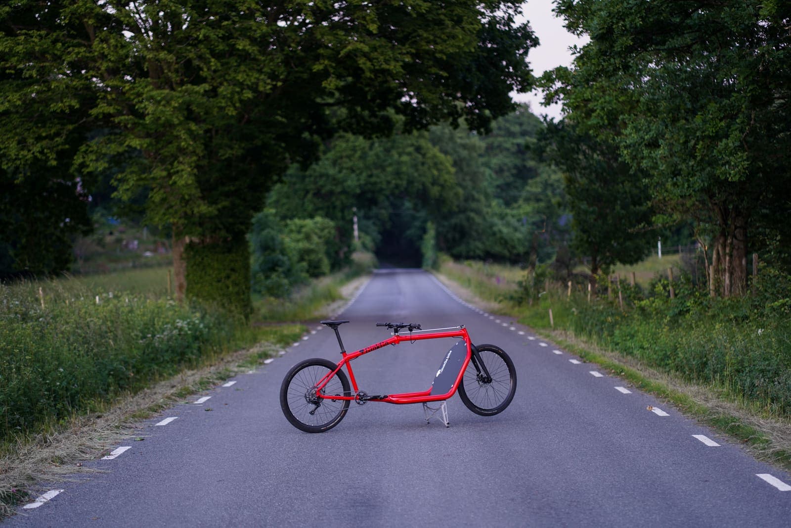GinkGo Lastenrad auf einer Landstraße in Südschweden